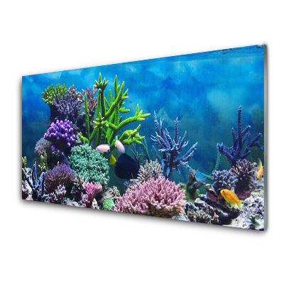 Obraz Szklany Akwarium Rybki Ukwiały i koralowce