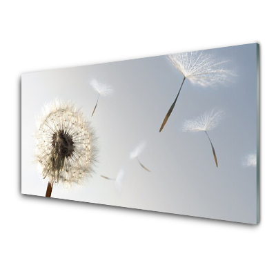Obraz Szklany Nasiona dmuchawca szare tło
