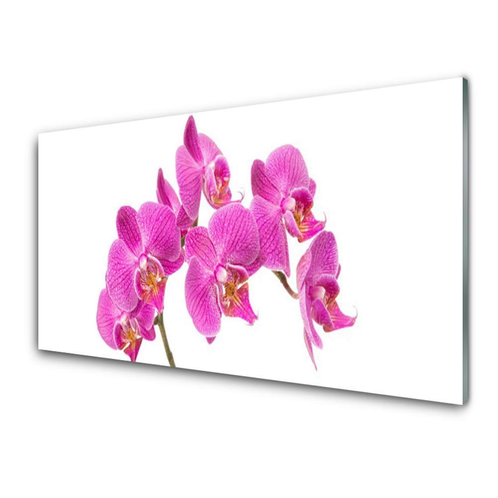 Obraz Szklany Różowa Orchidea Natura