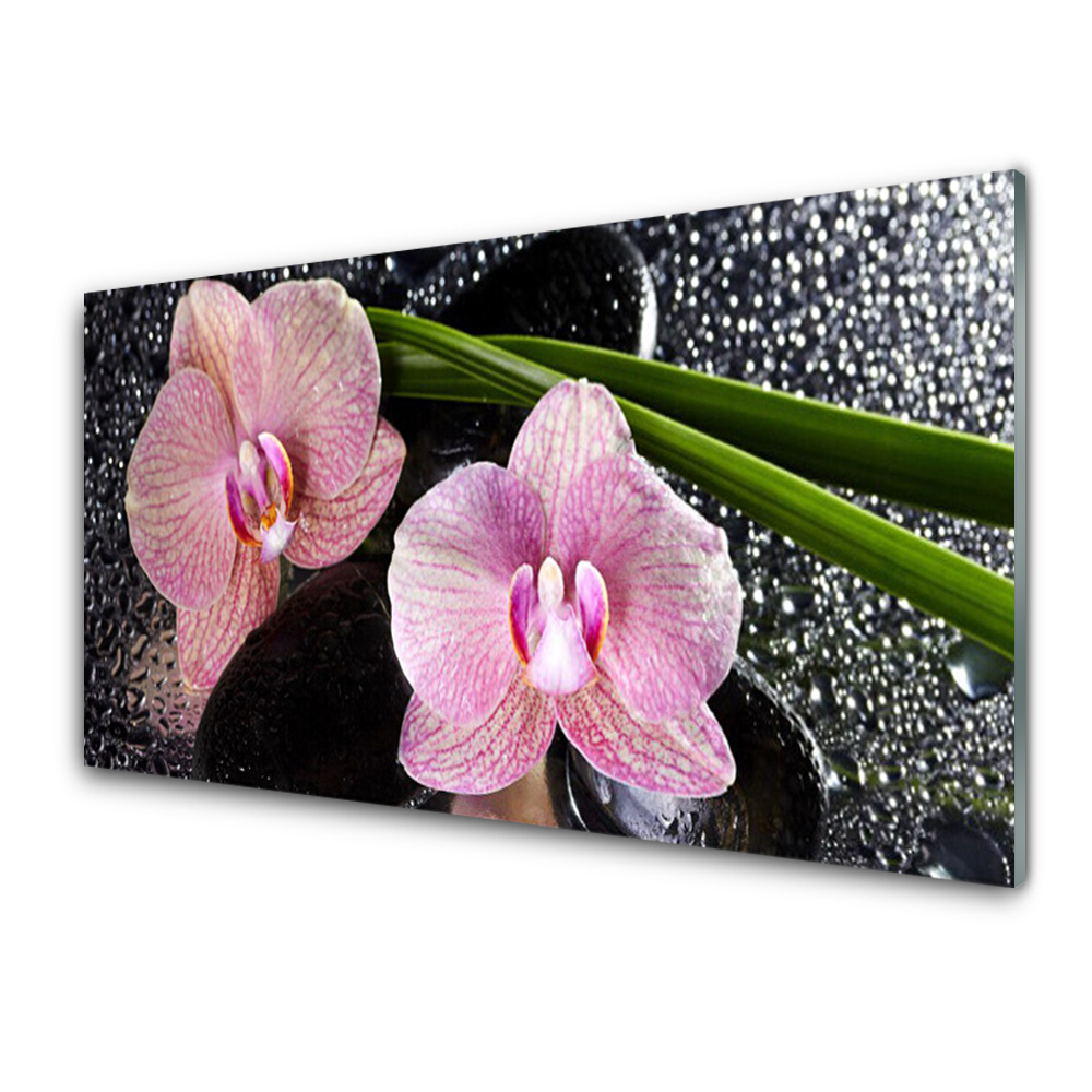 Obraz Szklany Orchidea Różowy storczyk Zen