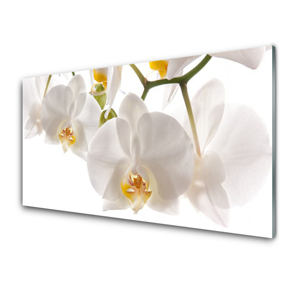 Obraz Szklany Biała Orchidea Kwiaty Natura