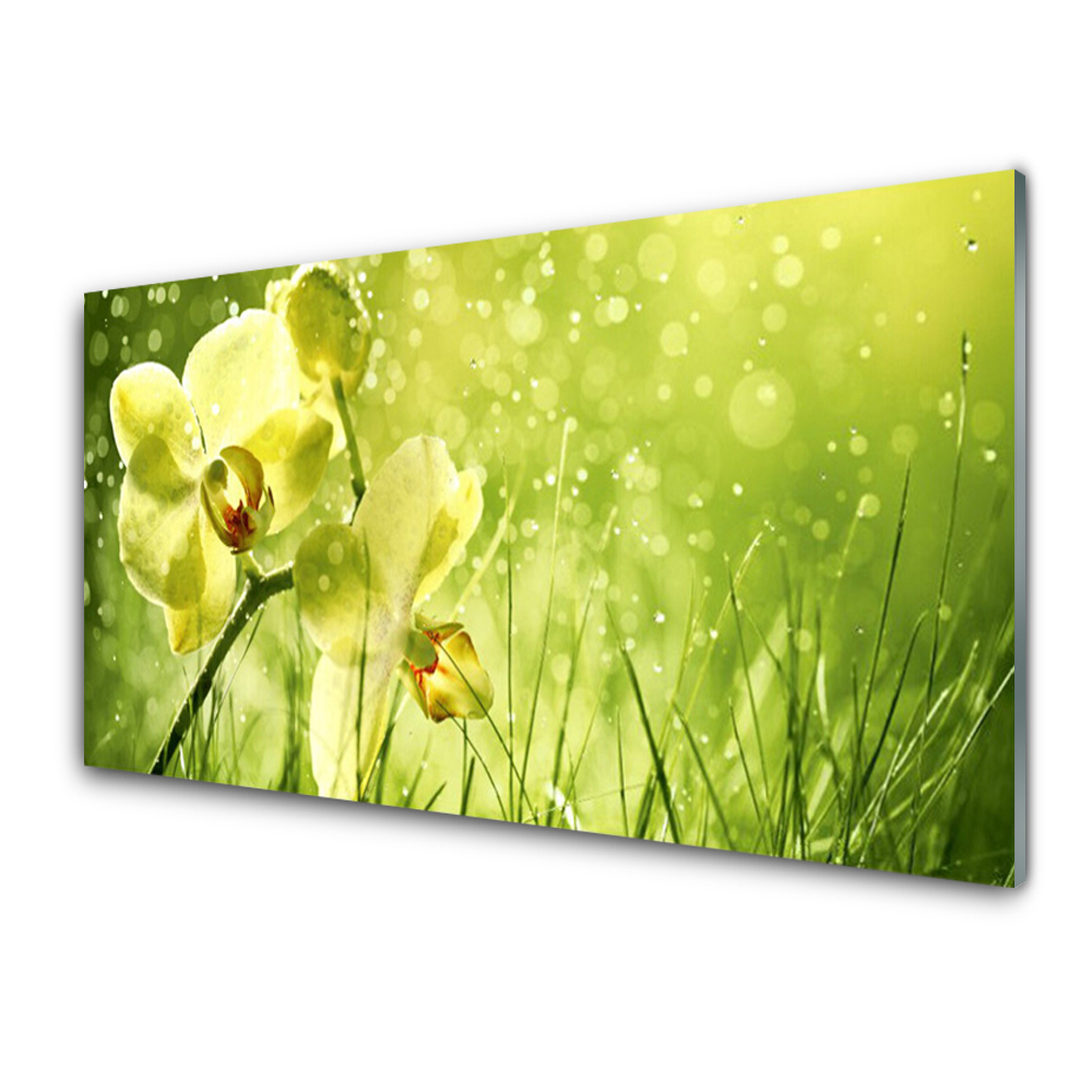 Obraz Szklany Zielone tło i żółta orchidea