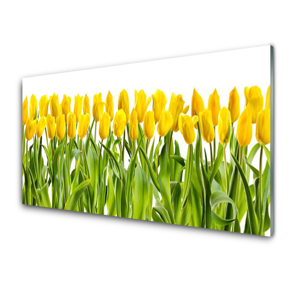 Obraz Szklany Żółte tulipany w dwóch rzędach