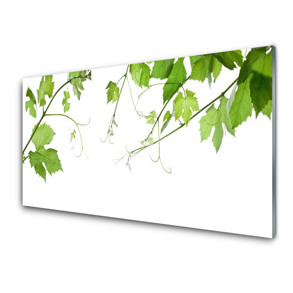 Obraz Szklany Gałęzie z liśćmi na białym tle
