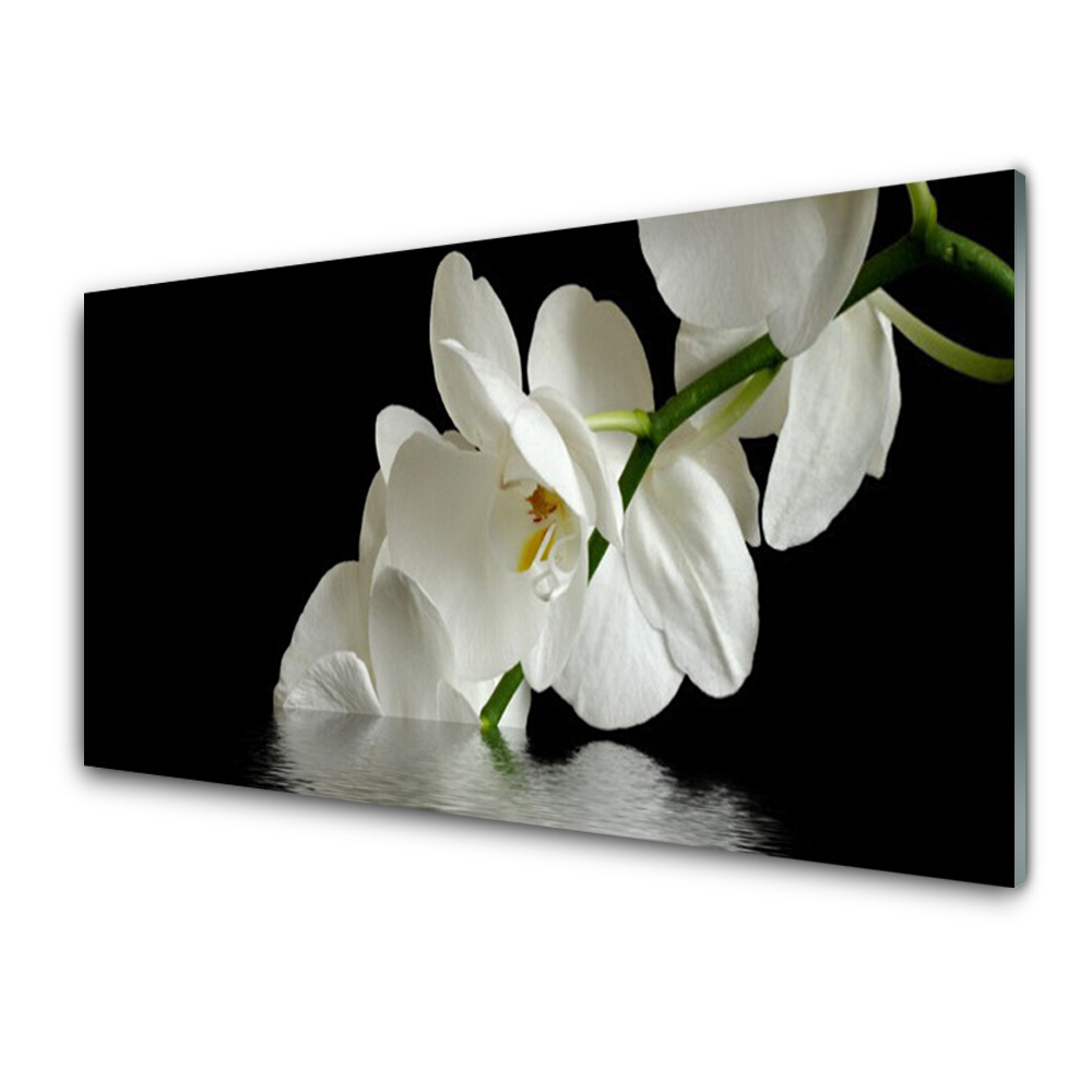 Obraz Szklany Orchidea w w wodzie czarne tło