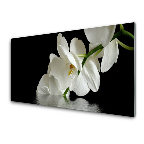 Obraz Szklany Orchidea w w wodzie czarne tło