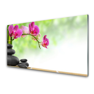 Obraz Szklany Pędy Bambusa Kamienie