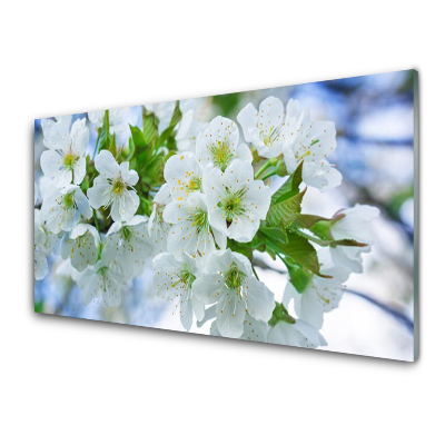 Obraz Szklany Kwiaty jabłoni Natura