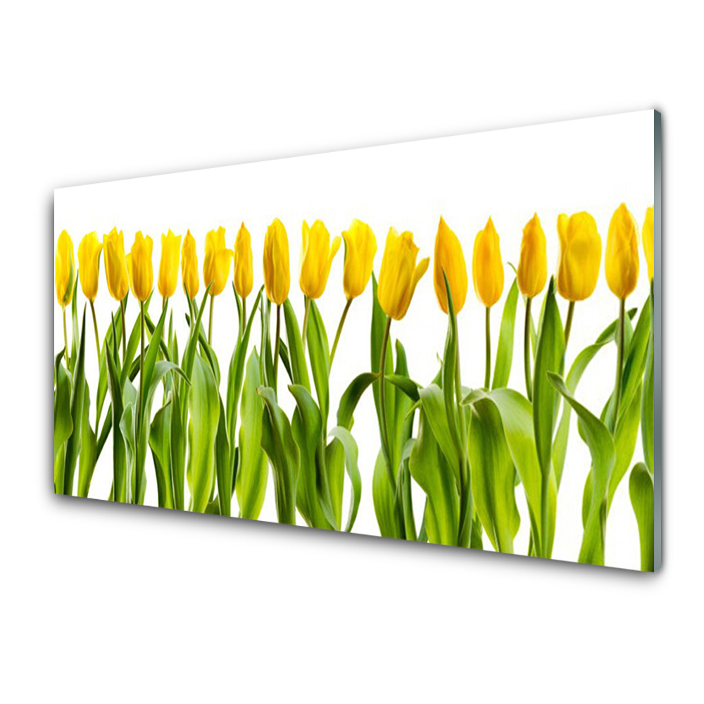 Obraz Szklany Rząd żółtych tulipanów