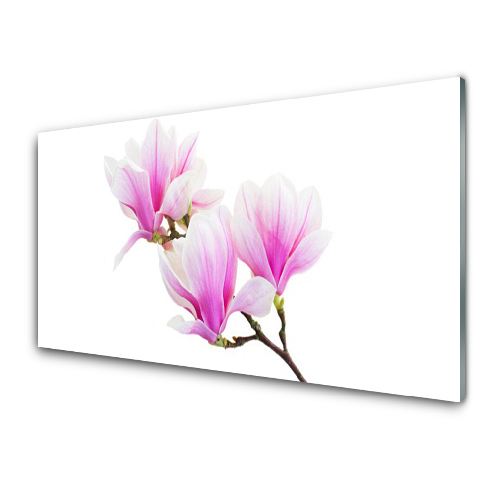 Obraz Szklany Kwiaty magnolii na gałązce