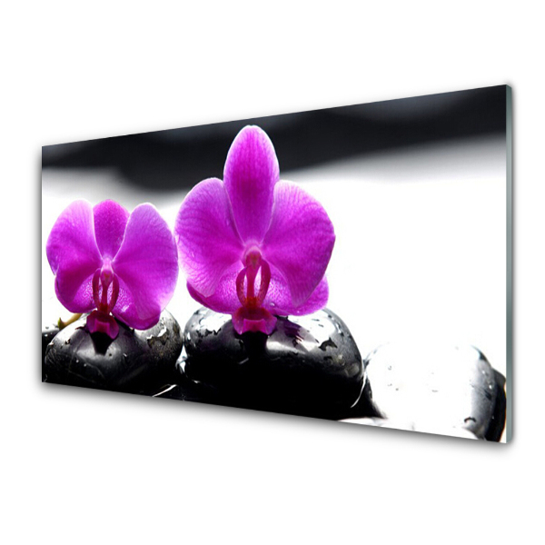 Obraz Szklany Dwie różowe orchidee i kamienie