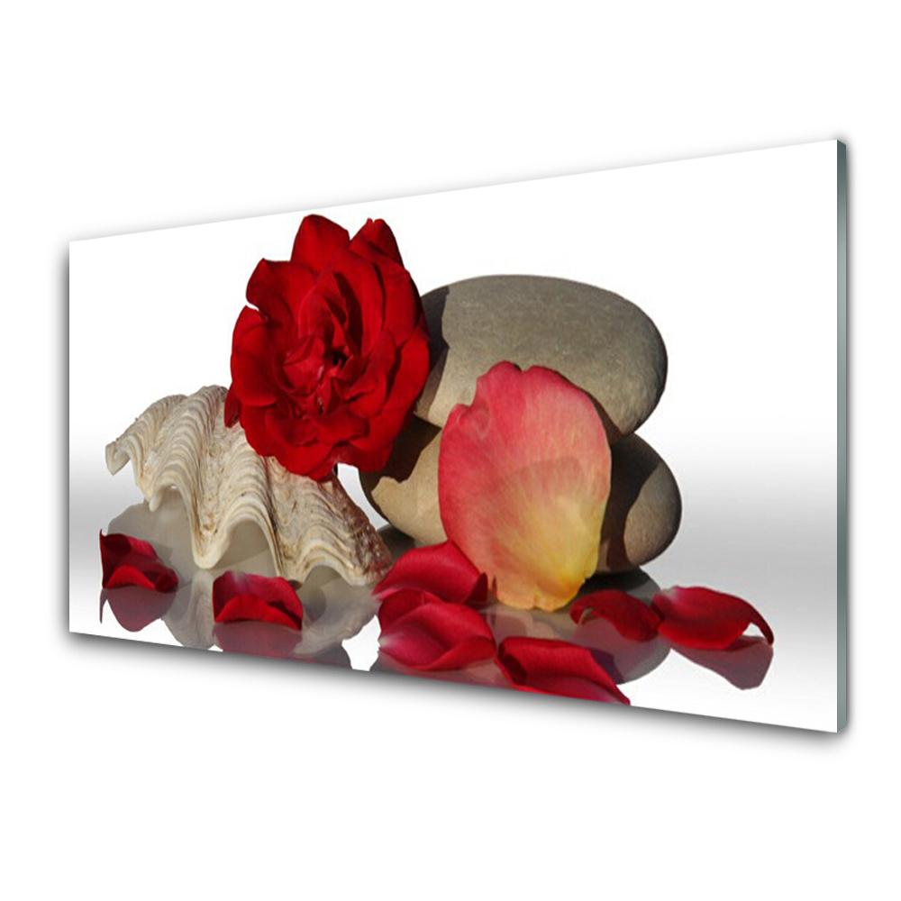 Obraz Szklany Róże płatki kamienie i muszelka