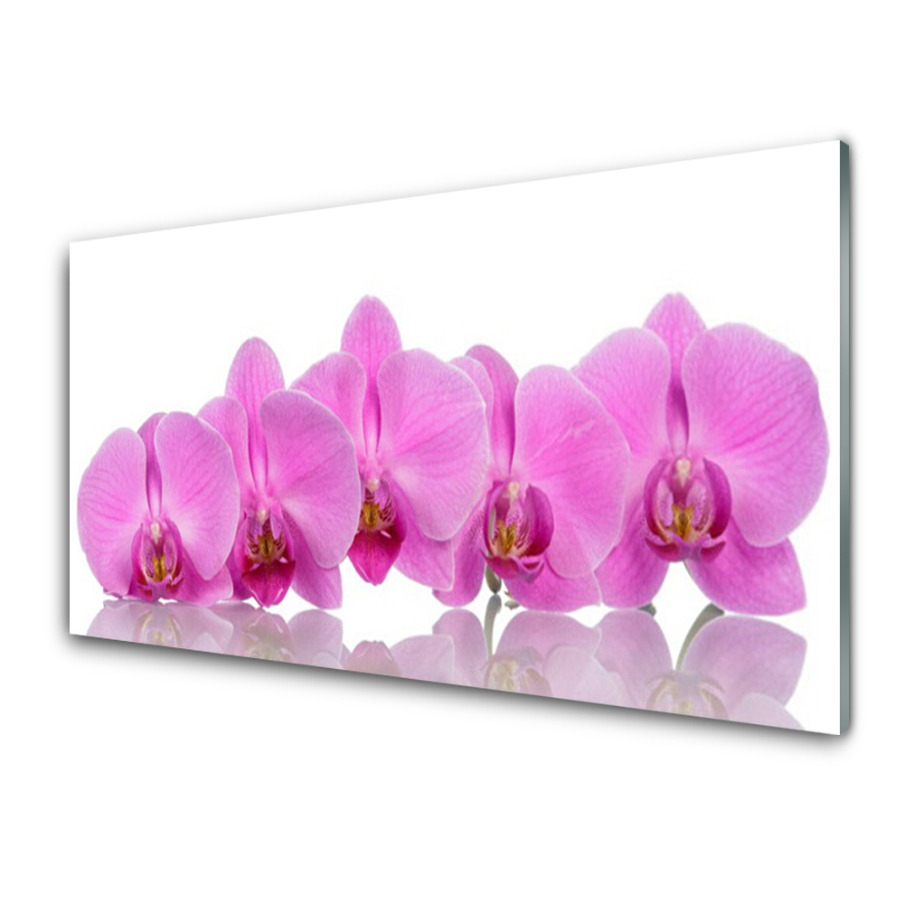Obraz Szklany Różowe Orchidee w rzędzie