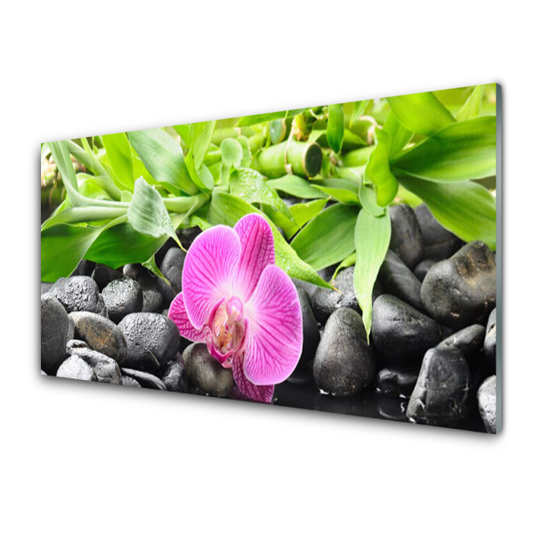 Obraz Szklany Kwiat orchidei na kamieniach Bambus