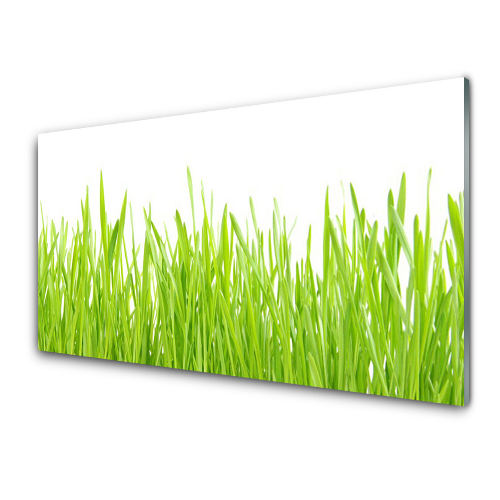 Obraz Szklany Roślina trawa natura