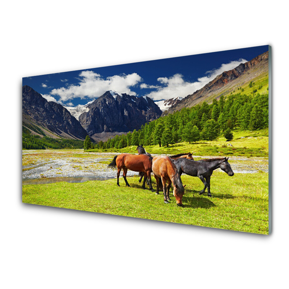 Obraz Szklany Konie na polanie na tle gór