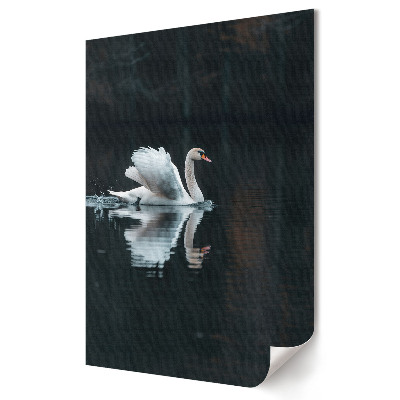Plakat na materiale polycanvas Elegancja łabędzia na spokojnej wodzie