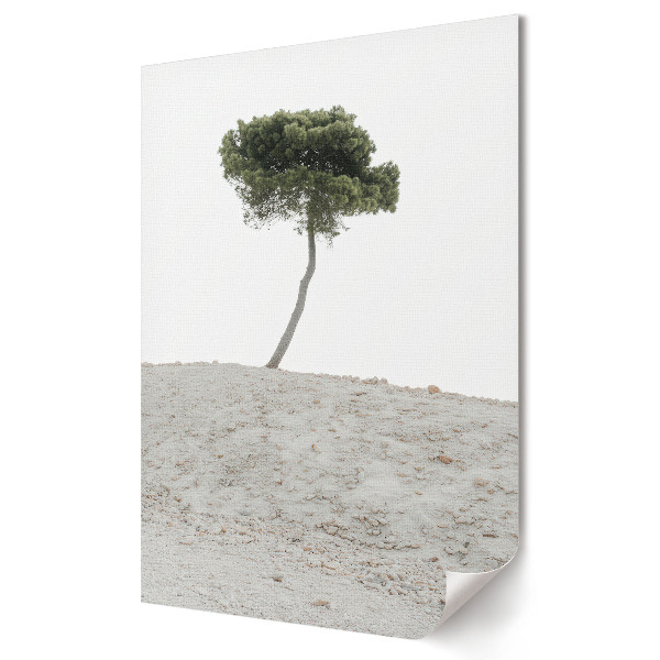 Plakat na materiale polycanvas Samotne drzewo na pustynnym tle