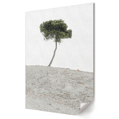 Plakat na materiale polycanvas Samotne drzewo na pustynnym tle