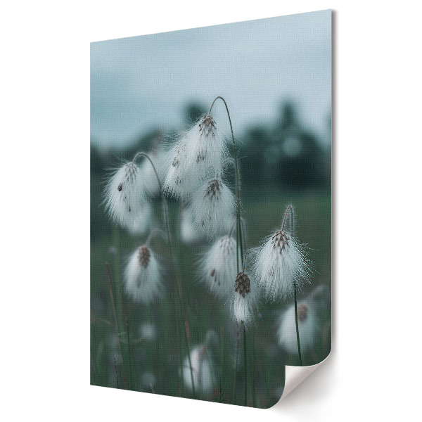 Plakat na materiale polycanvas Delikatne kwiaty w zimowej szacie