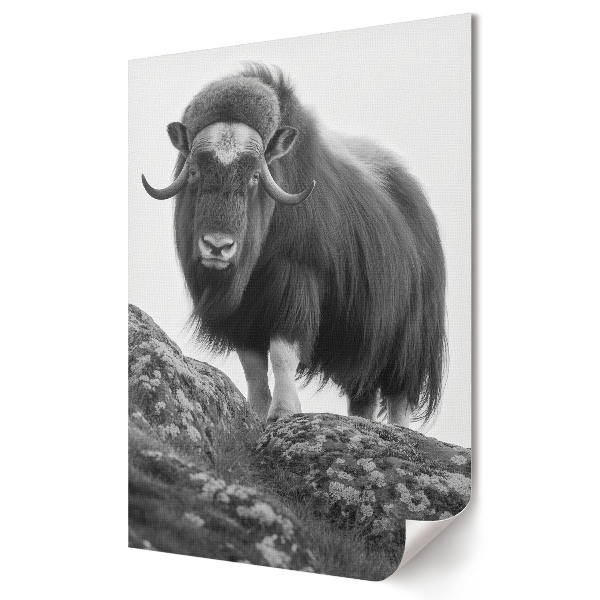 Plakat na materiale polycanvas wół piżmowy Majestic Mountain Guardian