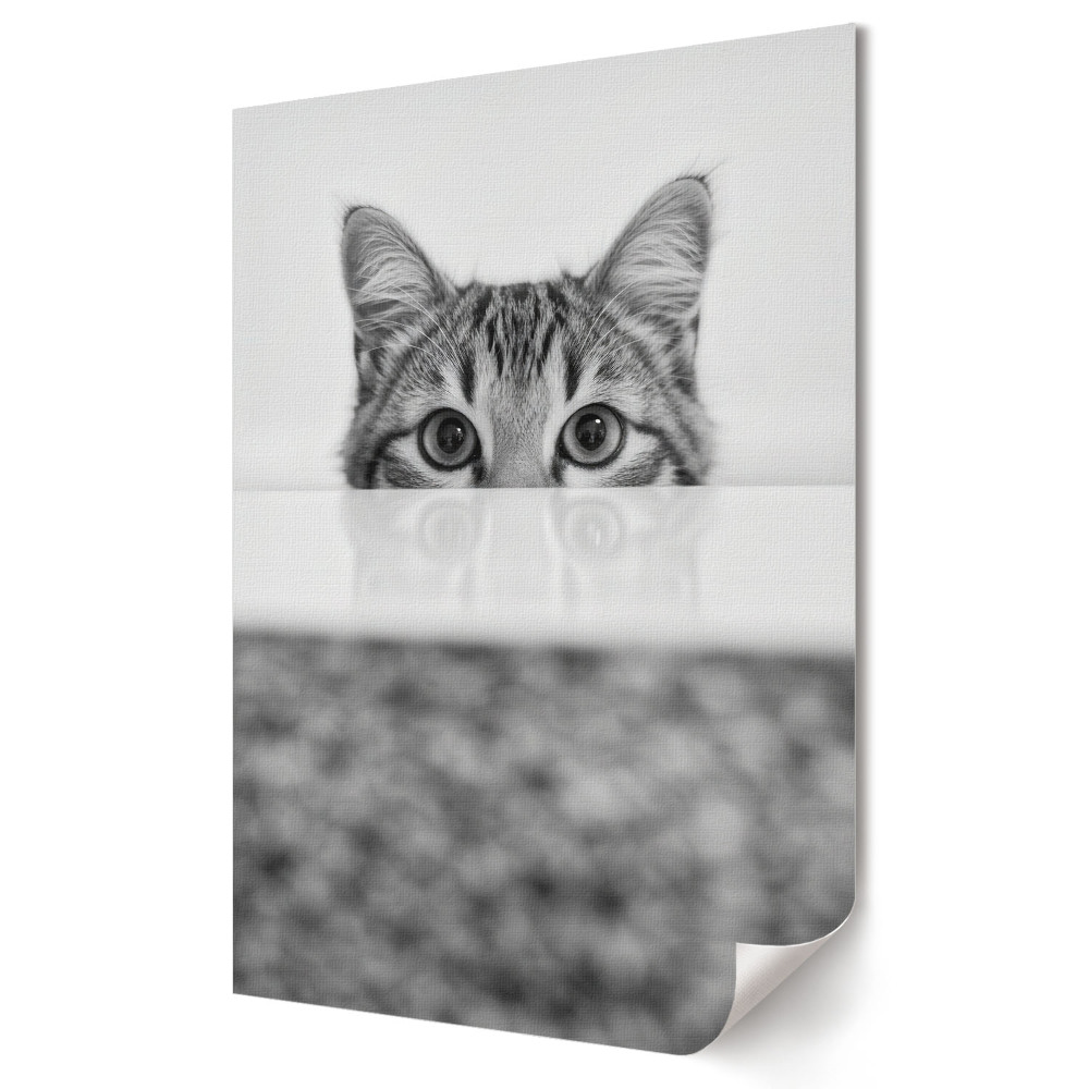 Plakat na materiale polycanvas Zagubione spojrzenie kota w cieniu