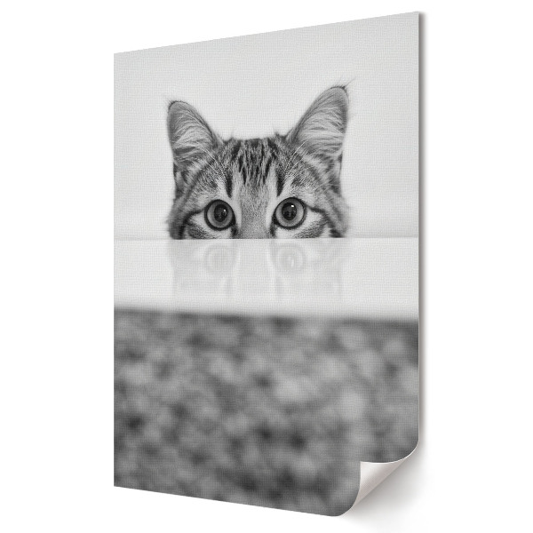Plakat na materiale polycanvas Zagubione spojrzenie kota w cieniu