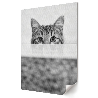 Plakat na materiale polycanvas Zagubione spojrzenie kota w cieniu