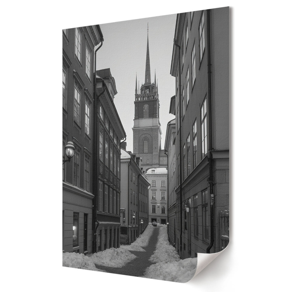 Plakat na materiale polycanvas Zimowy krajobraz w monochromatycznej ulicy