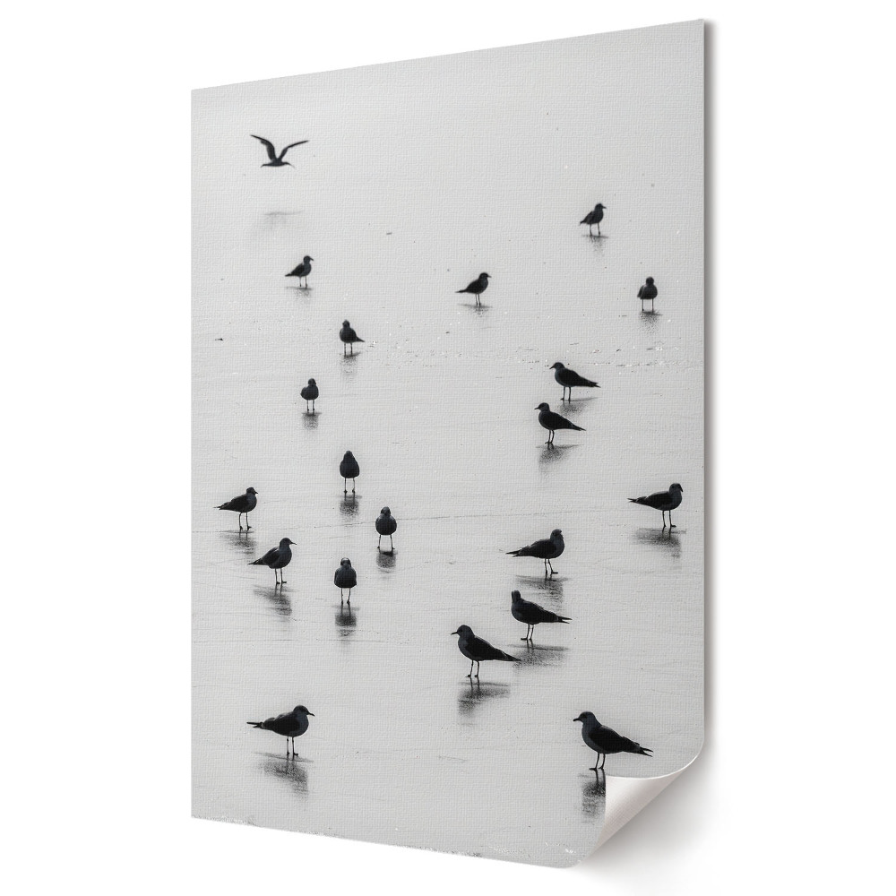Plakat na materiale polycanvas Cisza nadmorskiego poranka z ptakami