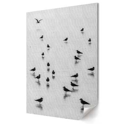 Plakat na materiale polycanvas Cisza nadmorskiego poranka z ptakami