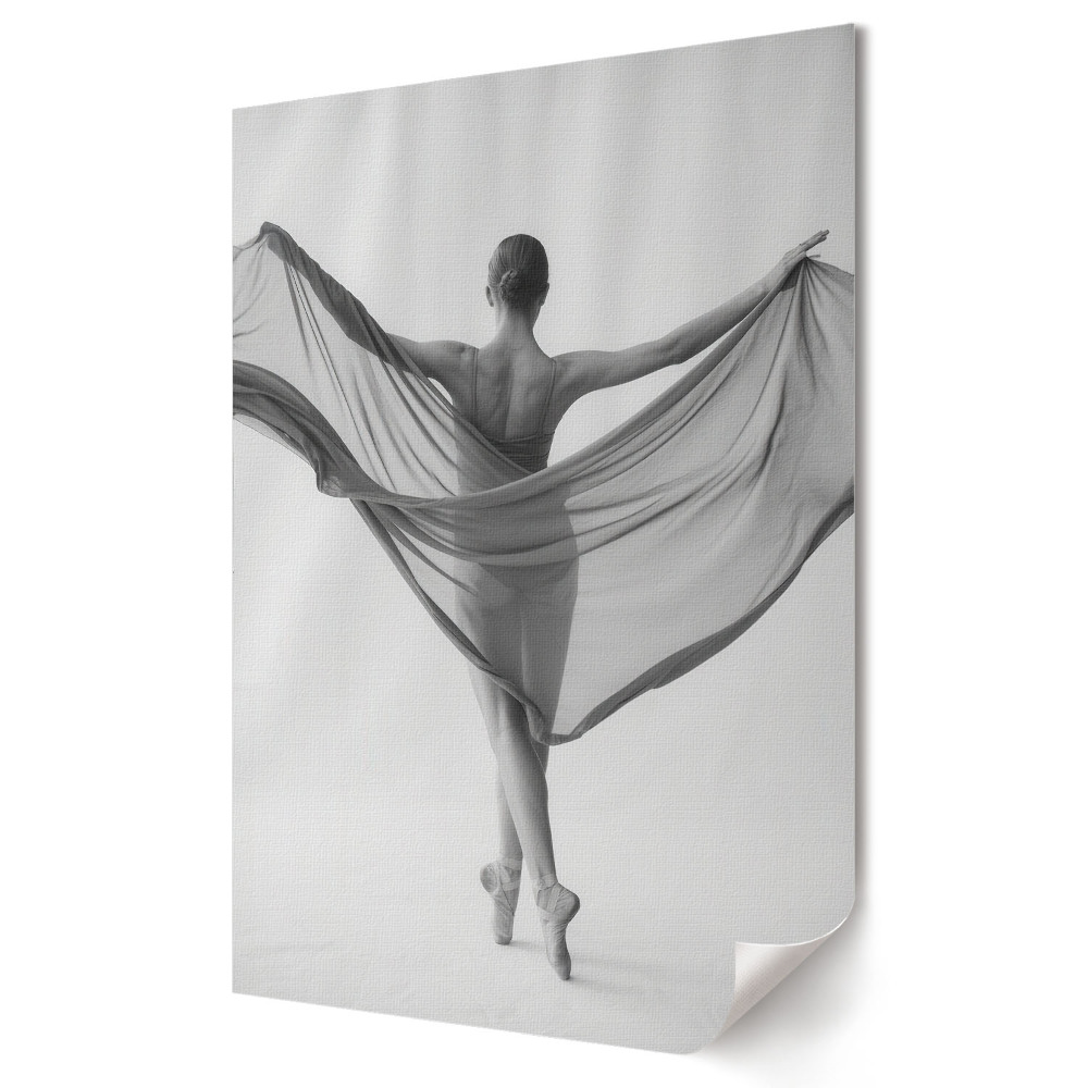 Plakat na materiale polycanvas Elegancja w tańcu Cień i światło