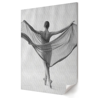 Plakat na materiale polycanvas Elegancja w tańcu Cień i światło