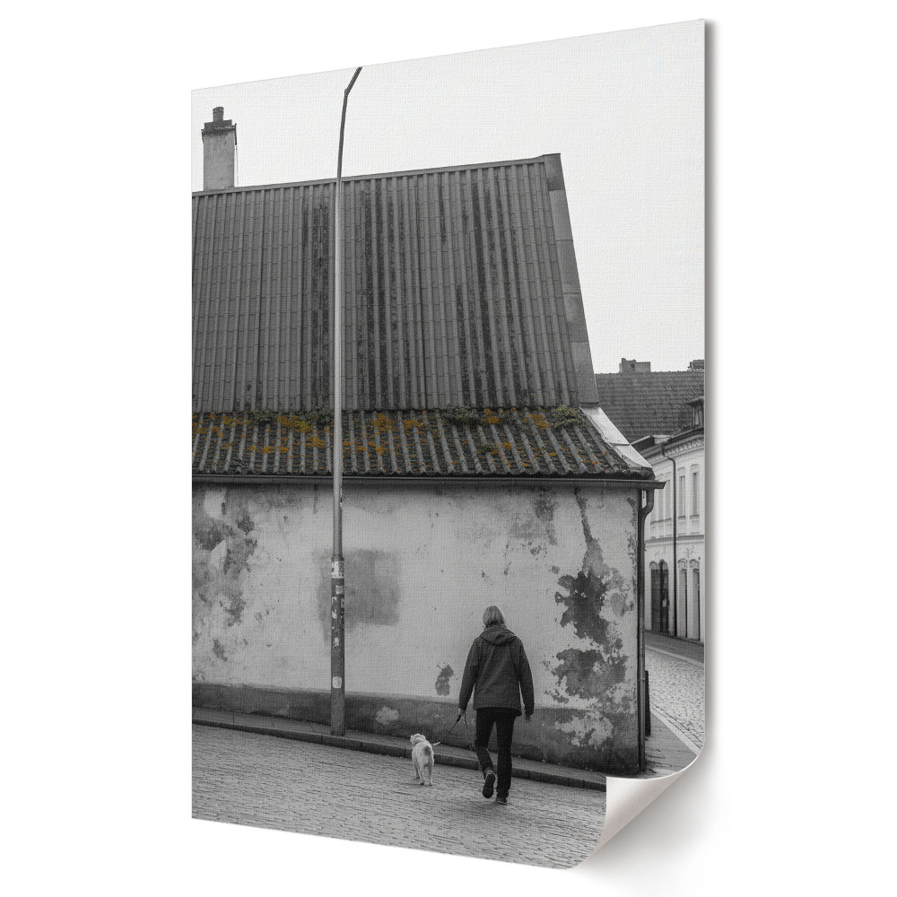 Stylowy plakat na ścianę Spacer w szarości miejskiego krajobrazu