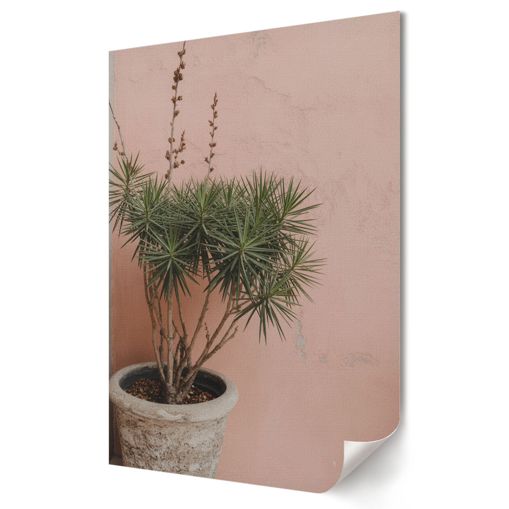 Plakat na materiale polycanvas Zielona roślina na różowym tle