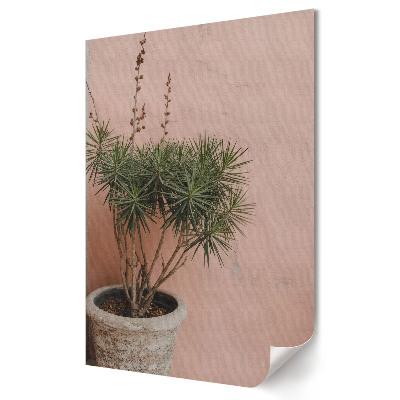 Plakat na materiale polycanvas Zielona roślina na różowym tle