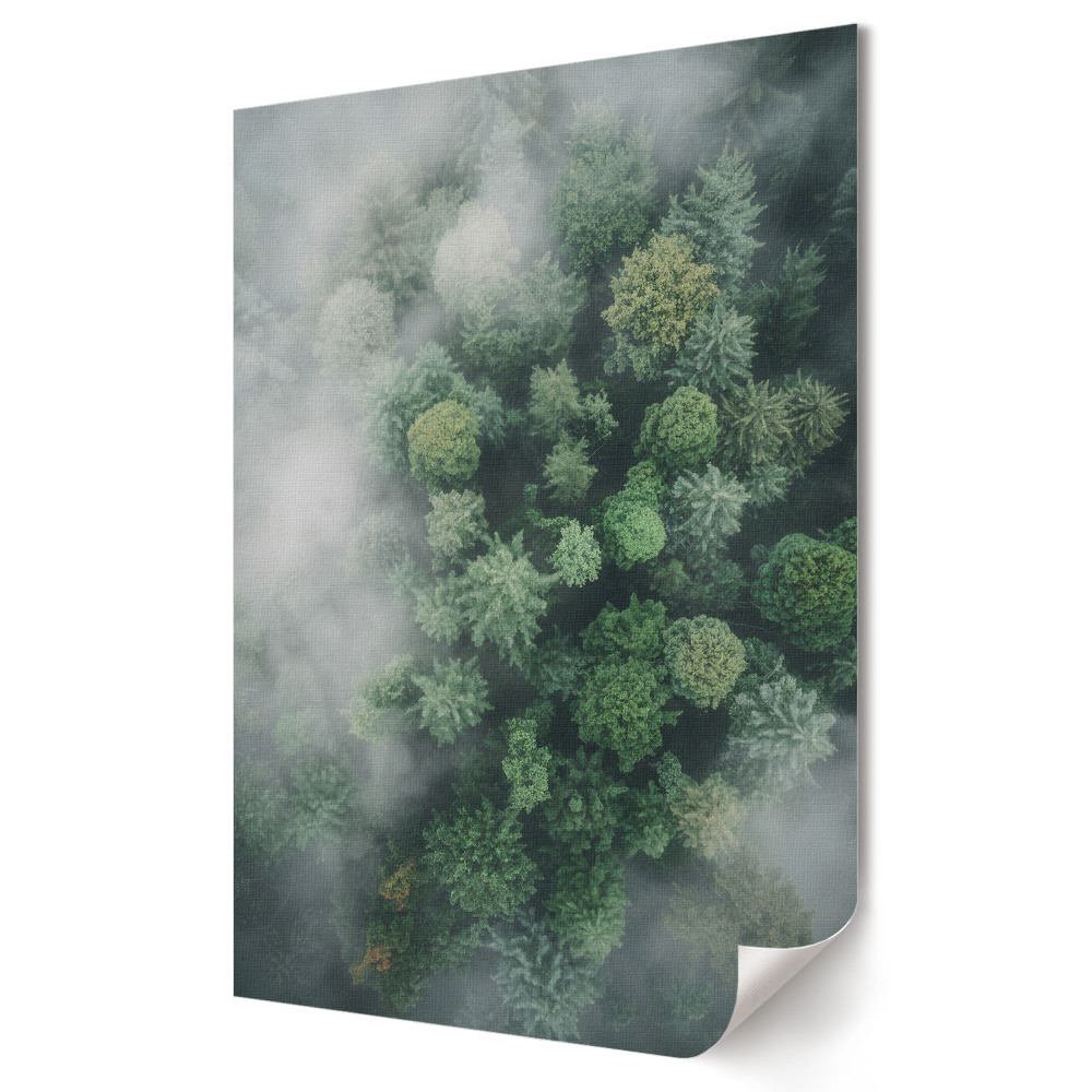 Plakat na materiale polycanvas Zielona Oaza w Mglistym Lesie