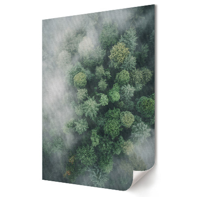 Plakat na materiale polycanvas Zielona Oaza w Mglistym Lesie