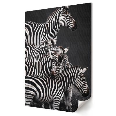 Nowoczesny plakat dekoracyjny zebra w czarno-białej harmonii