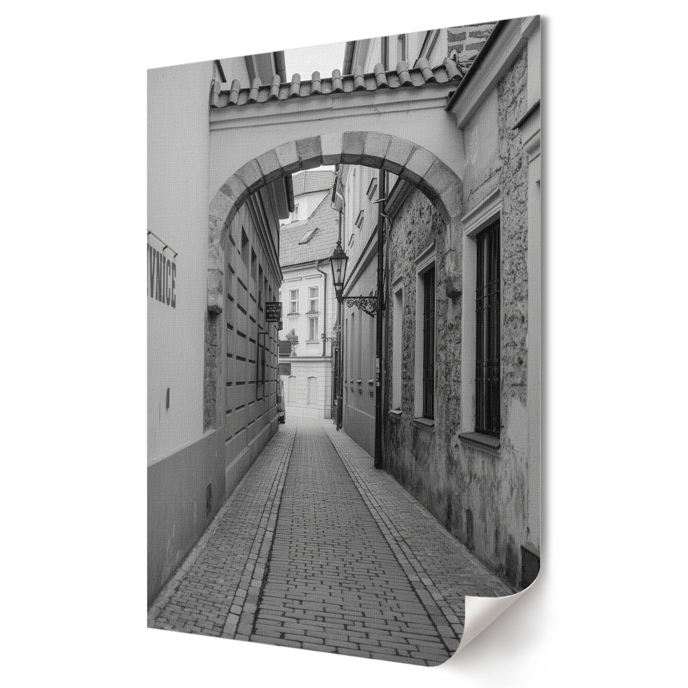 Grafika ścienna na płótnie Urokliwy zaułek w monochromatycznej scenerii