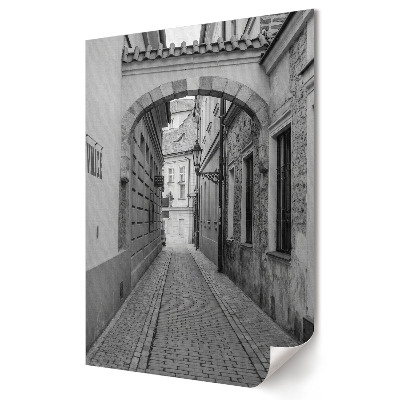 Grafika ścienna na płótnie Urokliwy zaułek w monochromatycznej scenerii