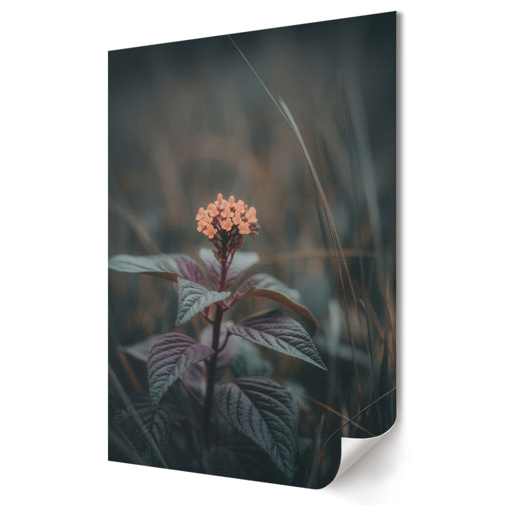 Plakat na materiale polycanvas Delikatna kwiatowa elegancja w cieniu