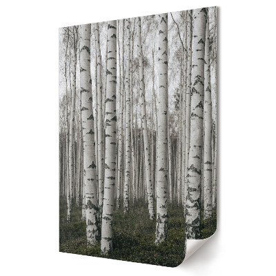 Plakat na materiale polycanvas Zimowy las brzozowy w mgle