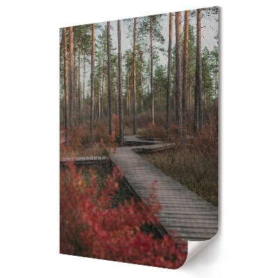 Nowoczesny plakat dekoracyjny Magiczna ścieżka w leśnym krajobrazie