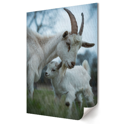 Plakat na materiale polycanvas Mama koza z małym koźlątkiem
