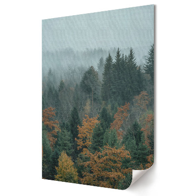 Plakat na materiale polycanvas Mglista jesień w lesie sosnowym