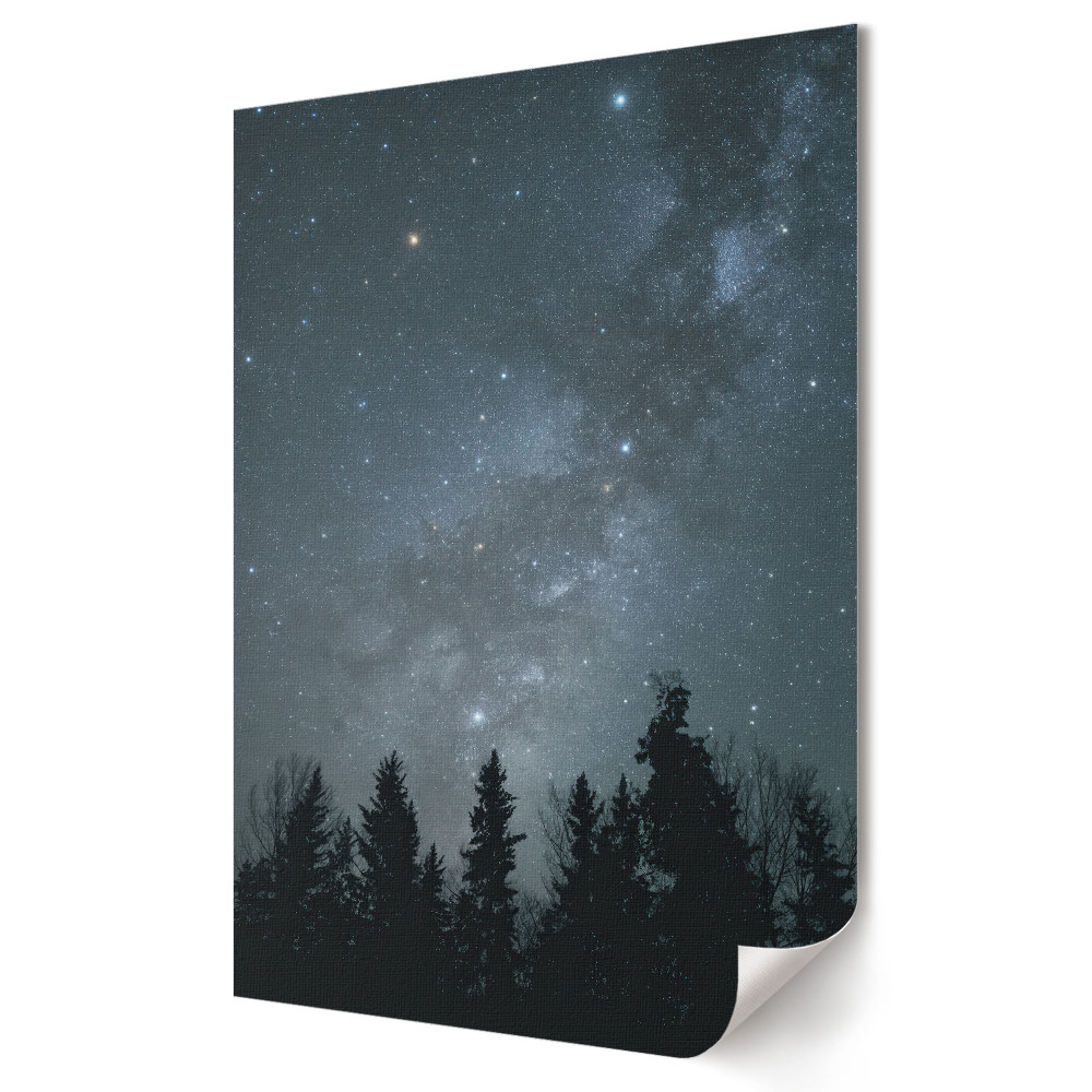 Plakat na materiale polycanvas Nocne niebo pełne gwiazd