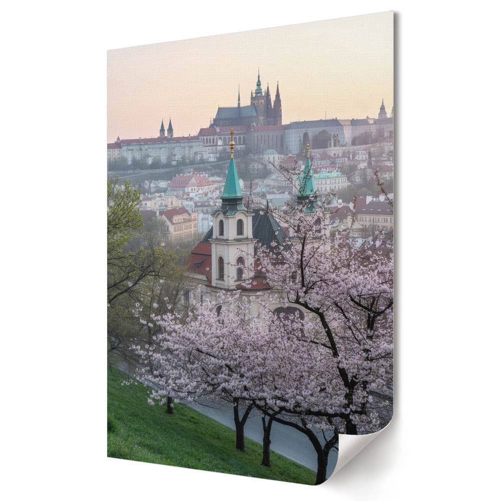 Grafika ścienna na płótnie Wiosenne kwitnienie nad Pragą