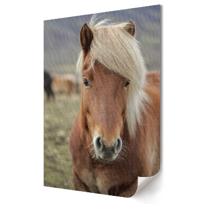 Plakat na materiale polycanvas Urokliwy koń na pastwisku