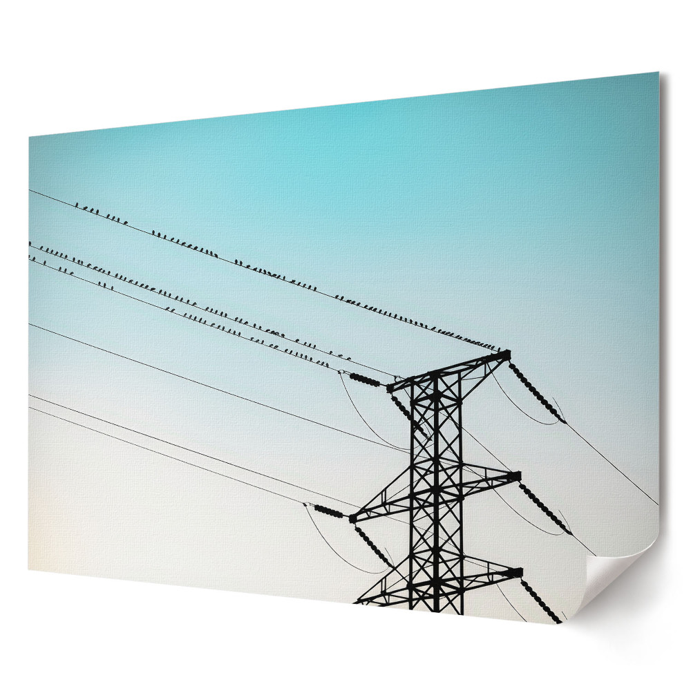 Artystyczny wydruk na płótnie Ptaki na liniach energetycznych